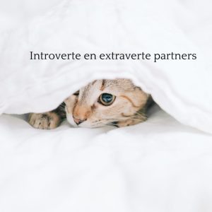 introvert en extravert