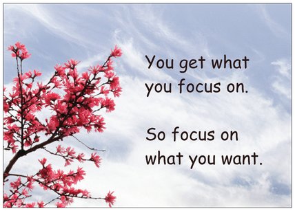 Focus